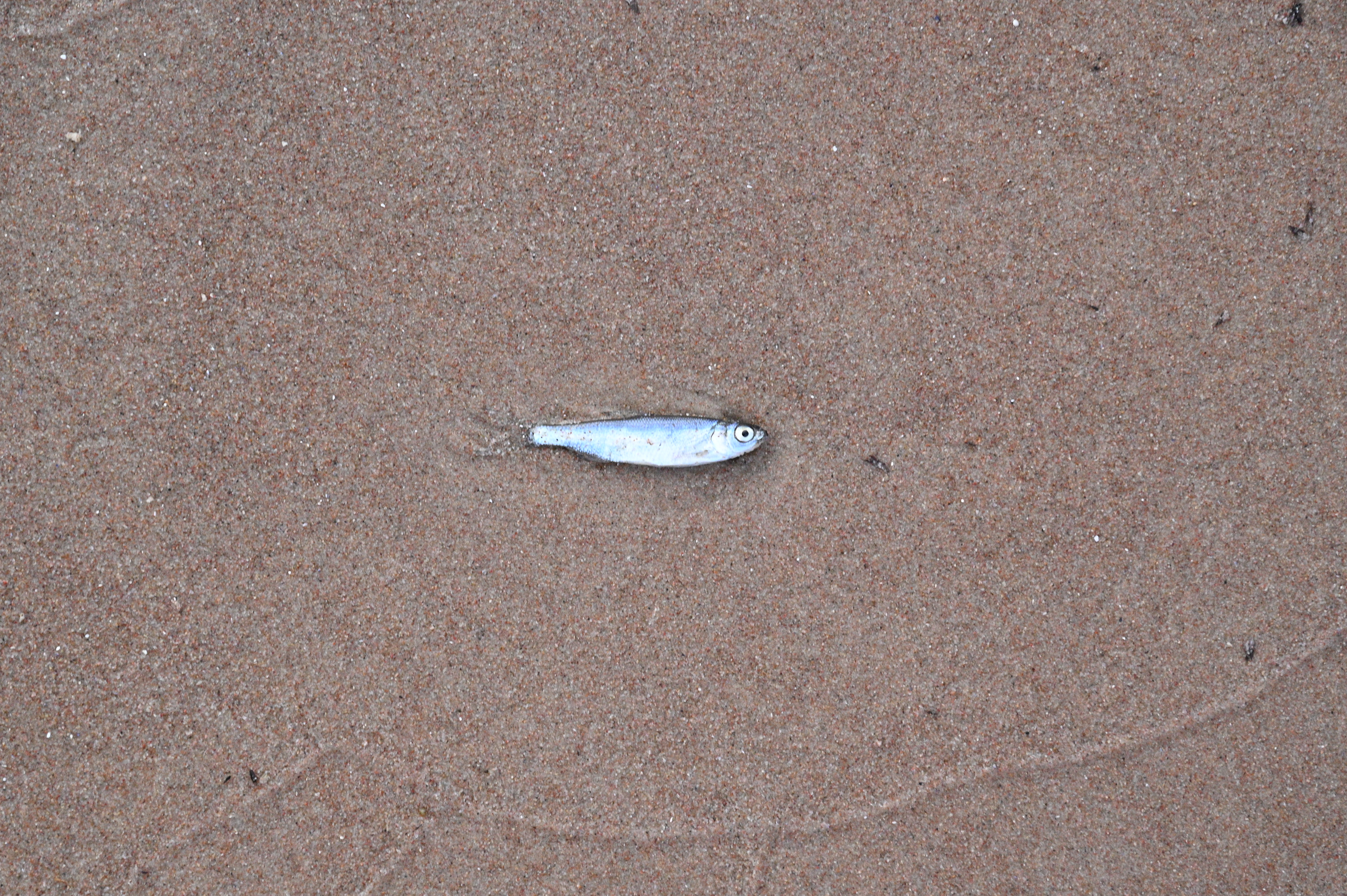 2025/07/09-14 - trip/DSC_0590.JPG